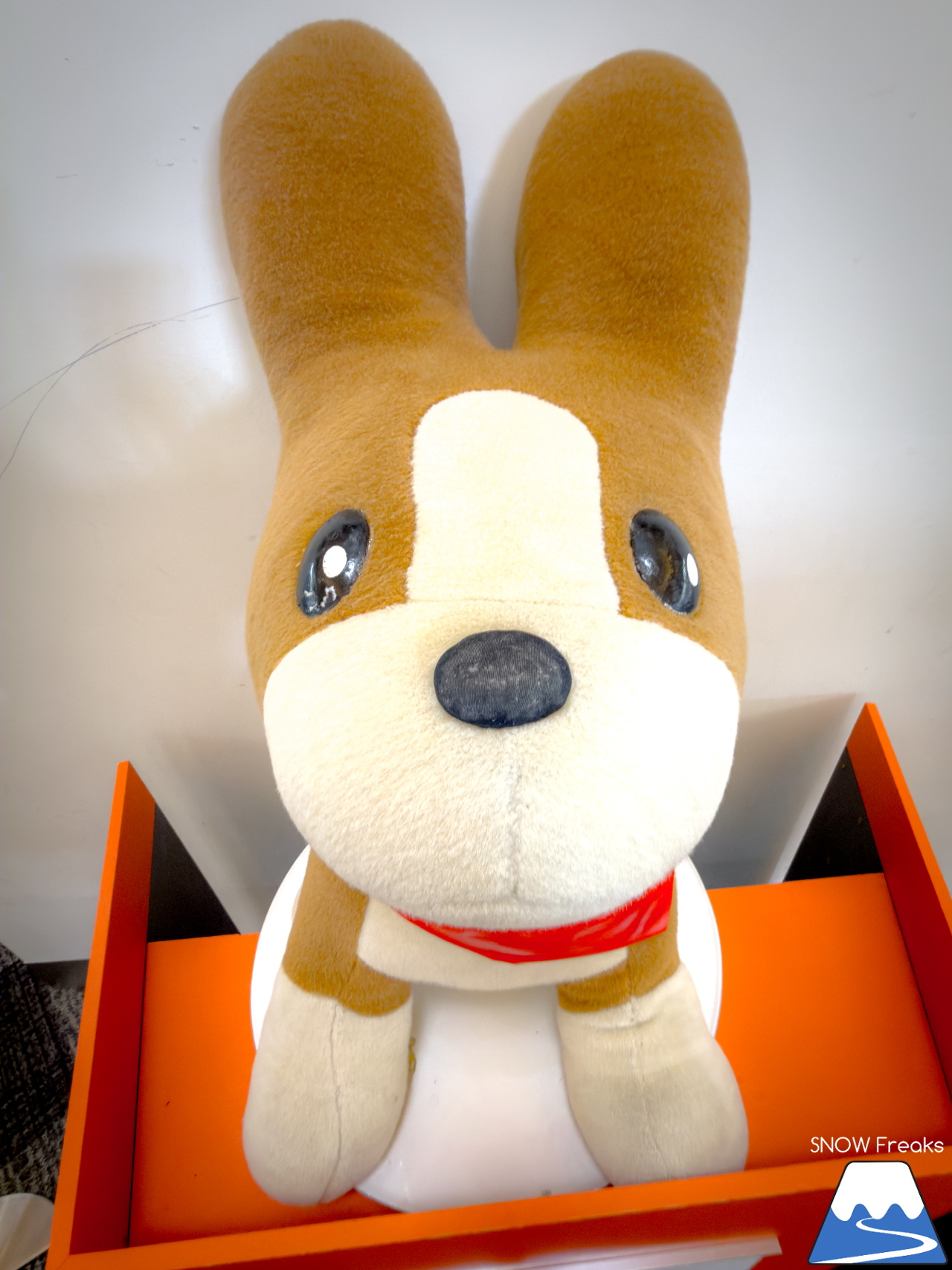 キロロリゾート｜今日の山頂積雪は「340cm」！ビシッと締まったロングコースで快適クルージングが楽しい１日♪